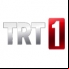 TRT 1