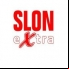 TV Slon - RTV SLON